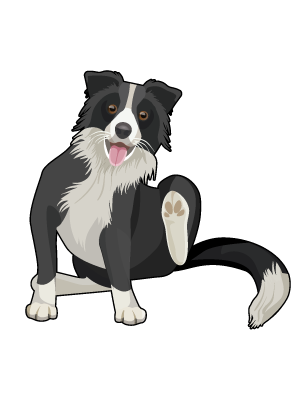 Great for Itchy Pets