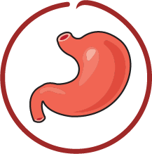 Dog Fish Score Purple