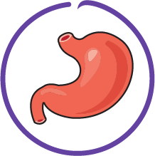 Dog Fish Score Purple