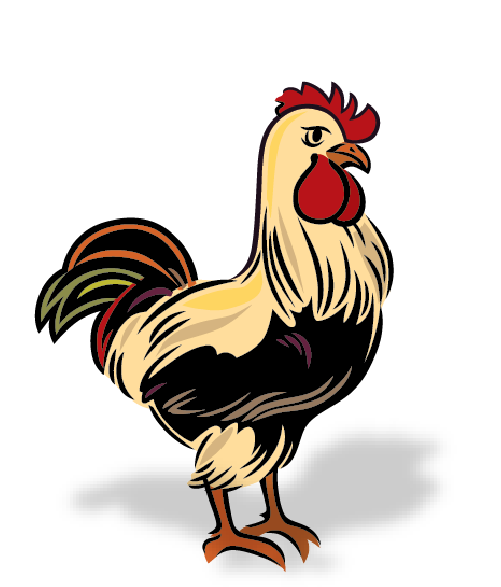 Carna4 Whole Food Nuggets For Pets