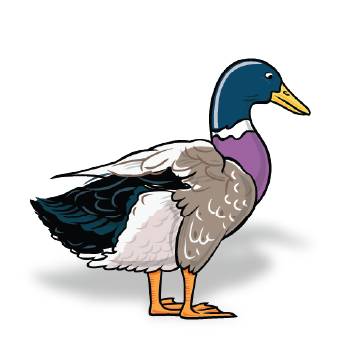 Carna4 Whole Food Nuggets For Pets