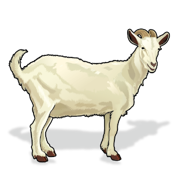 Carna4 Whole Food Nuggets For Pets