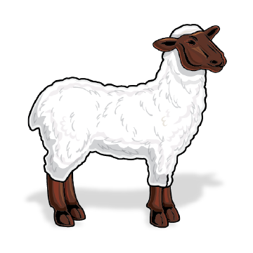 Carna4 Whole Food Nuggets For Pets