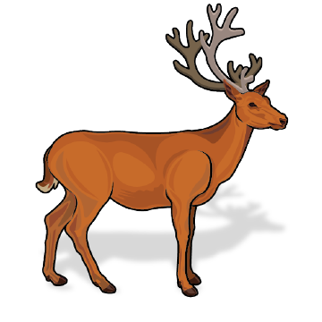 Carna4 Whole Food Nuggets For Pets