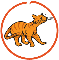 94%-95% Digestibility Score 